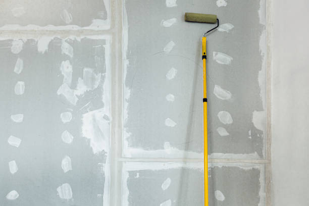 Best Drywall Crack Repair  in Rochester, WI